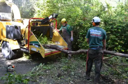 tree services Mentone